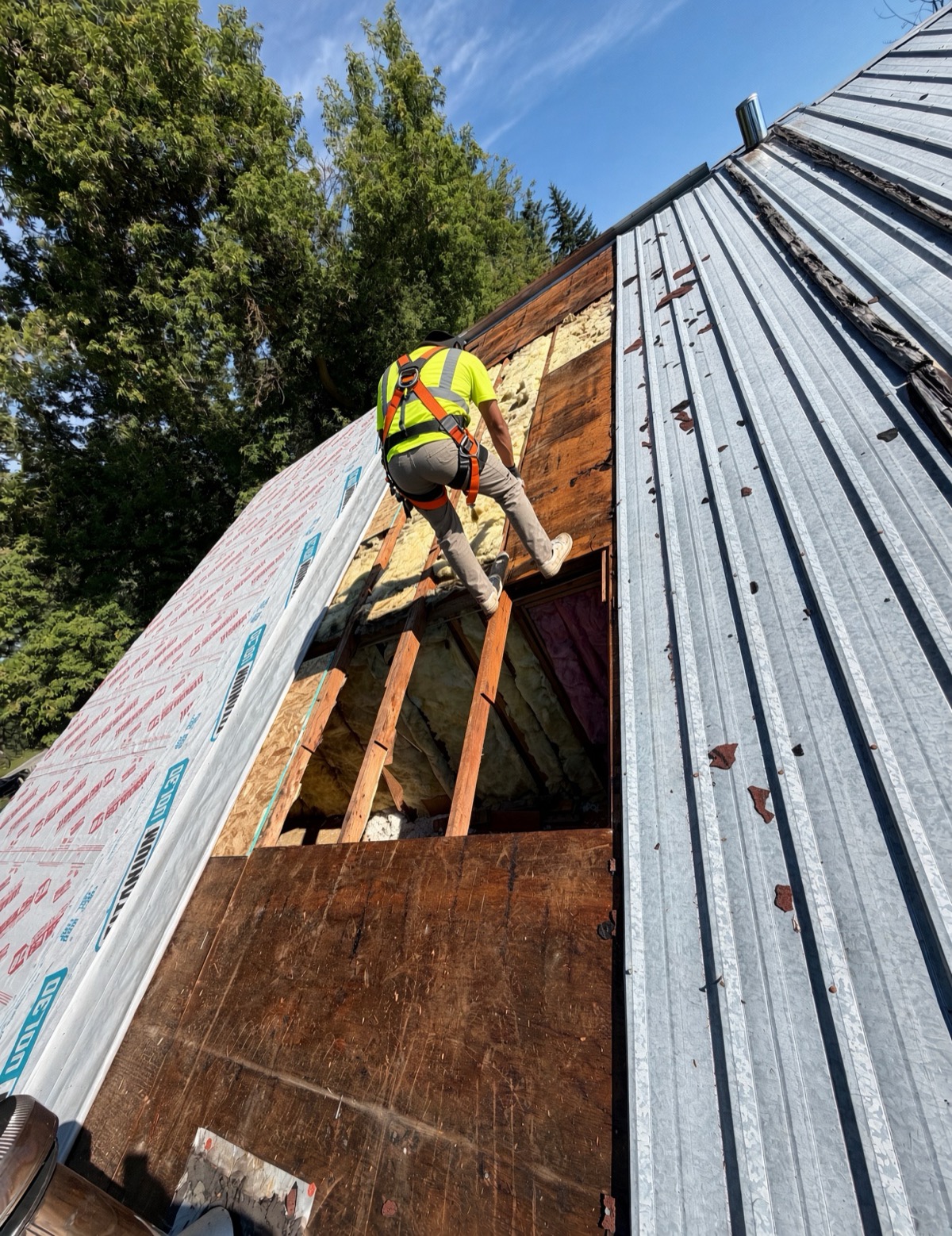 Deck repair during a tear-off: failed sheathing out, new underlayment going on